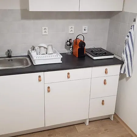 Truehome Appartments * Harrachov